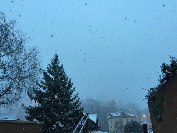Maledetta Primavera, o normalità? 1° Marzo, arriva la Primavera meteorologica, ma …