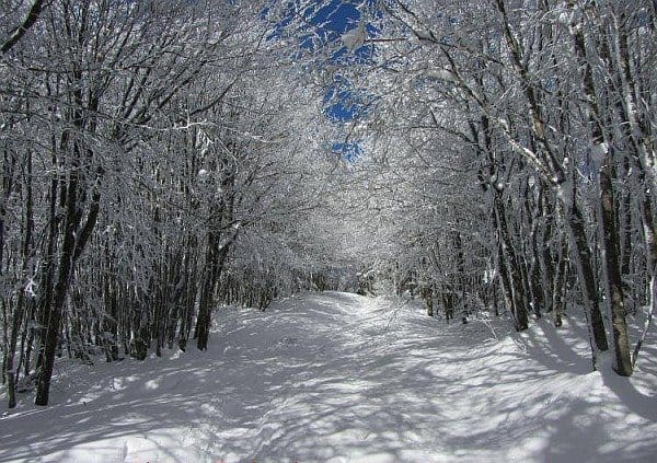 Neve in Appennino, su alcune località è molto abbondante