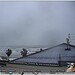 neve-sulla-costa-pescarese,-adesso