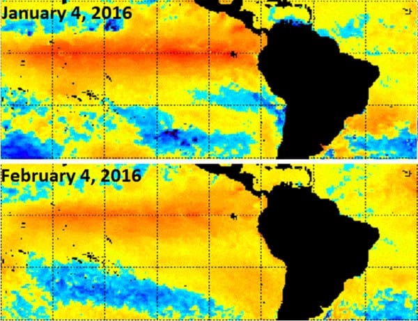 El Niño perde potenza, finisce la pacchia mite: il clima tornerà nella media ben presto. Ripercussioni meteo su Italia