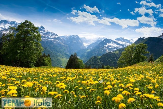 Meteo che cambia, il 2018, è il più caldo in Svizzera 3 Meteo che cambia, il 2018, è il più caldo in Svizzera