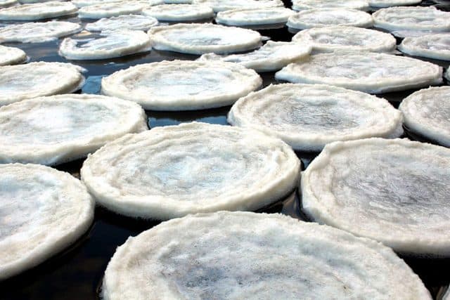 Biscotti di ghiaccio o "ice pancakes" 9 Biscotti di ghiaccio o “ice pancakes”