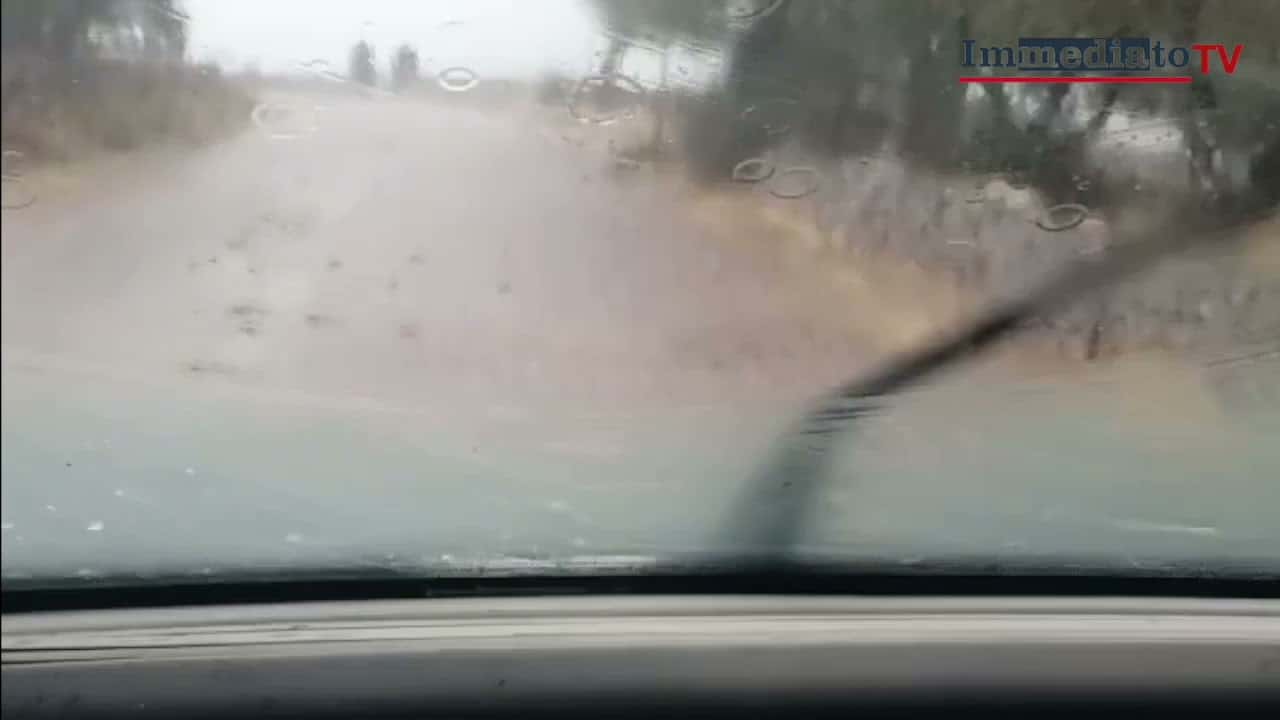 Alluvione lampo nel Gargano. Video
