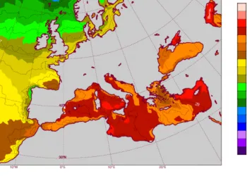 Temperatura superficiale dei mari nei primi di agosto. Credit https://www.ecmwf.int/
