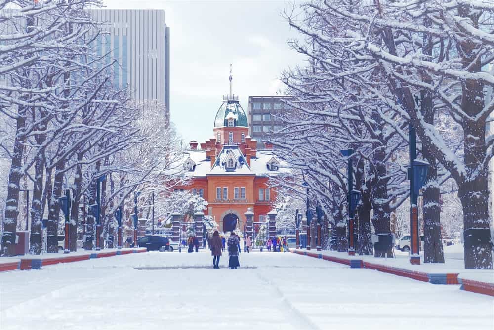 Sapporo: incanto invernale e tradizioni nella città ciapponese dei record di neve