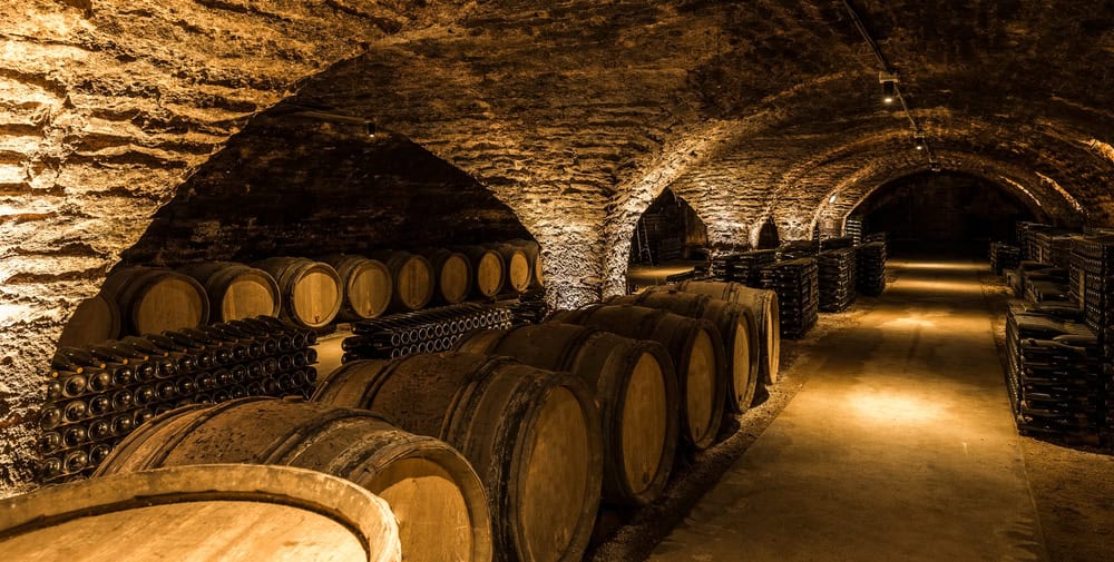 Esplorazione delle cantine vinicole nella pittoresca Valle della Loira 31 Esplorazione delle cantine vinicole nella pittoresca Valle della Loira