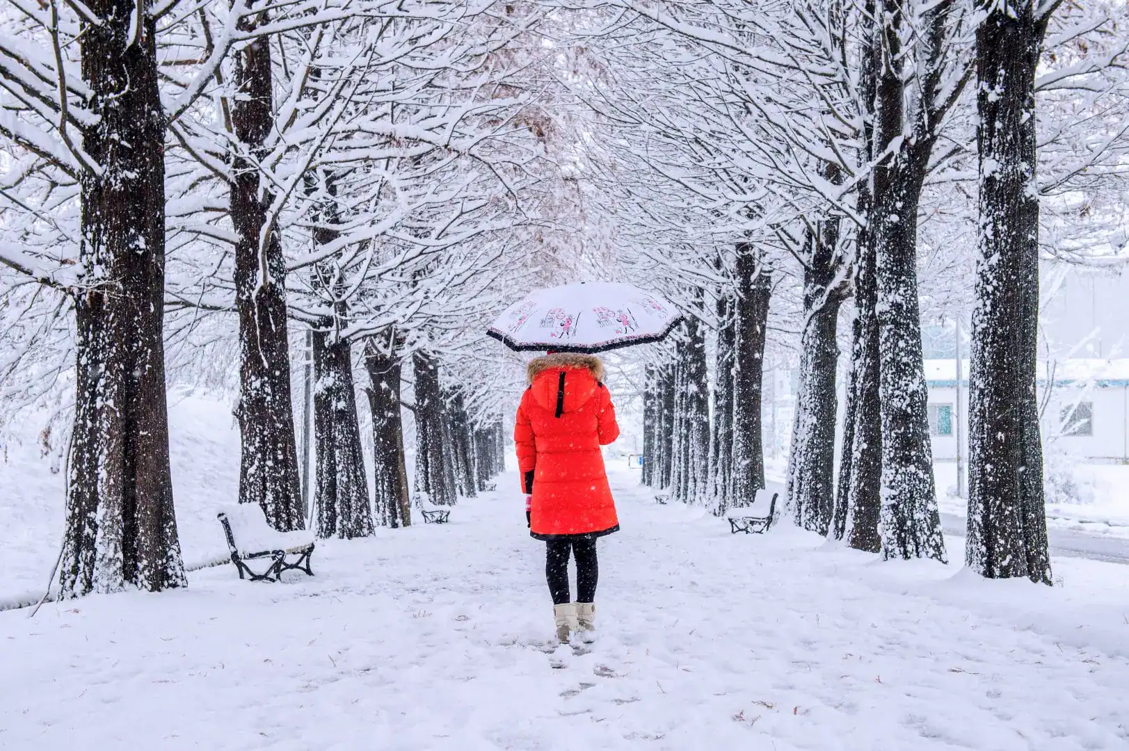 Previsioni Meteo: Nuove Perturbazioni in Arrivo in Italia, Attesi Pioggia e Neve 19 Previsioni Meteo: Nuove Perturbazioni in Arrivo in Italia, Attesi Pioggia e Neve