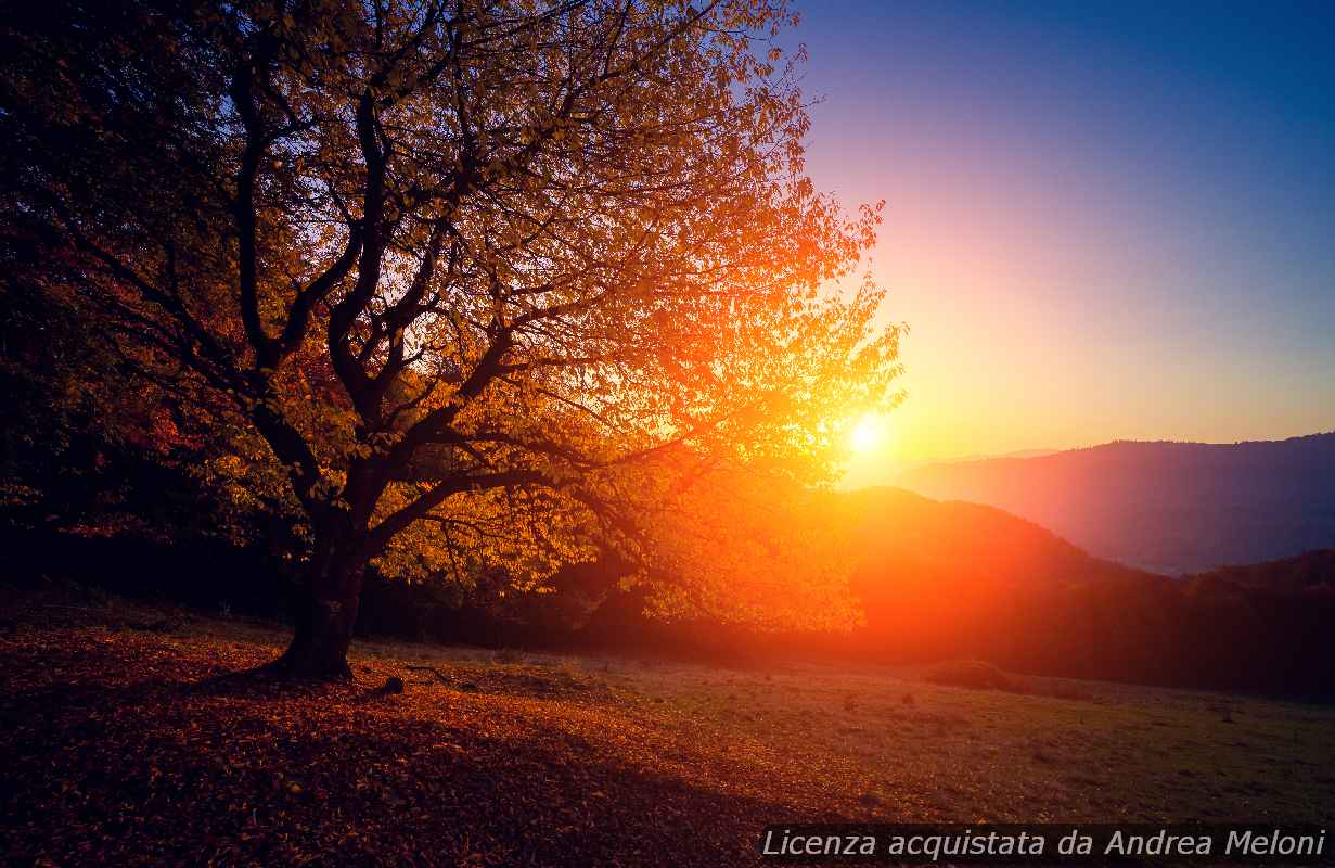 Previsione meteo L’Aquila: pioggia in arrivo, ma il sole tornerà presto 3 Previsione meteo L’Aquila: pioggia in arrivo, ma il sole tornerà presto