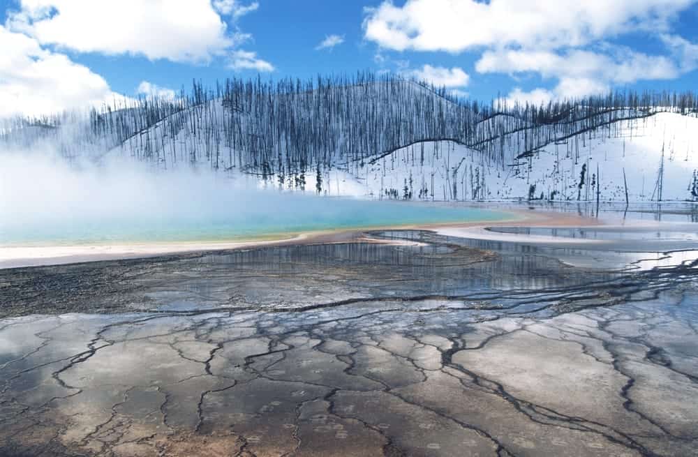 Yellowstone in inverno: un’avventura tra natura e fauna selvatica