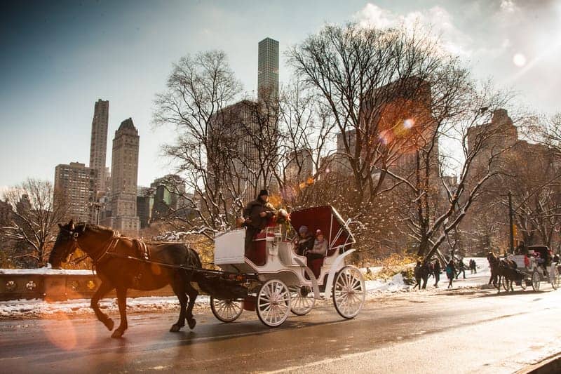 Viaggio a New York a Natale. Cosa fare, cosa vedere 7 dreamstime s 106472975