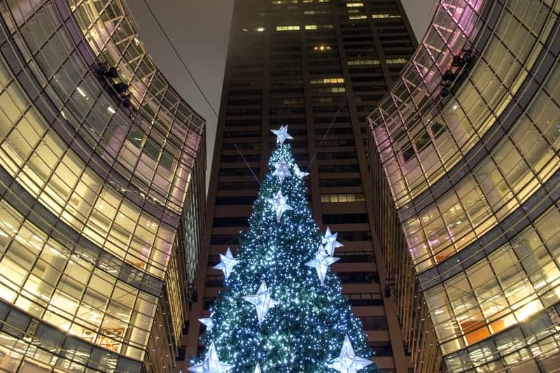 Viaggio a New York a Natale. Cosa fare, cosa vedere 4 dreamstime s 28074734