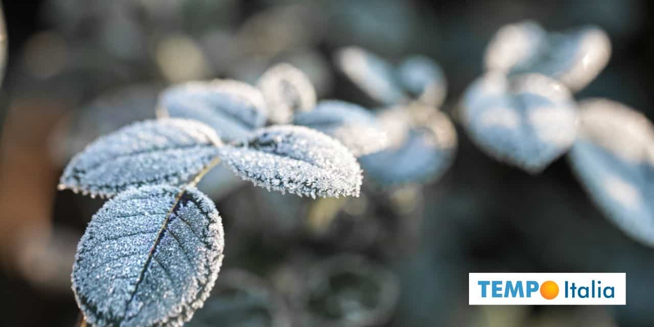 Meteo: il burian di Febbraio diventerà realtà? 2 meteo burian febbraio realta 1