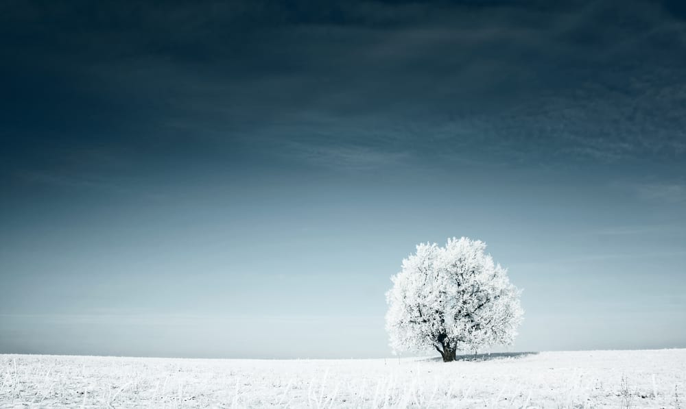 Scopri il blu intenso dei cieli invernali: un fenomeno meteo affascinante!