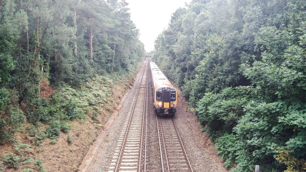 Il Treno Maya: un’opera discussa che attraversa la foresta messicana