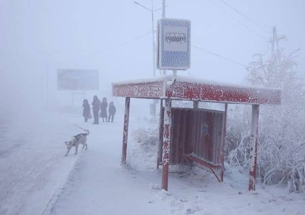 Viaggio nel cuore della Siberia, dove si esce di casa con -60°C. Dove il meteo estremo è la normalità 3 wapt image post 480