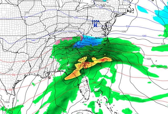 Allerta meteo in Carolina del Nord: arriva la tempesta di neve Diego 4 wapt image post 6115