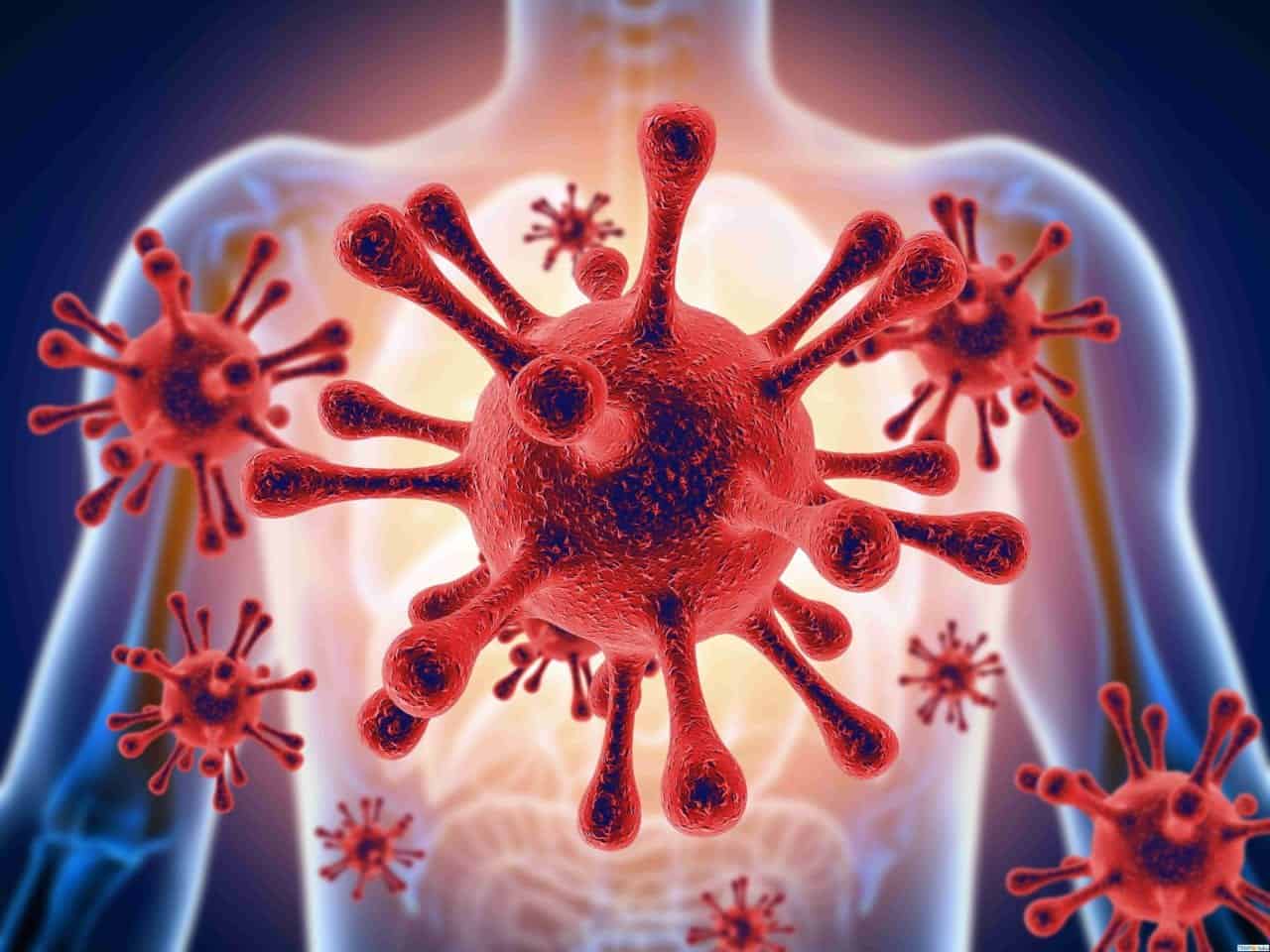 Coronavirus e condizioni meteo ambientali: lo studio di Princeton 2 wapt image post 7978