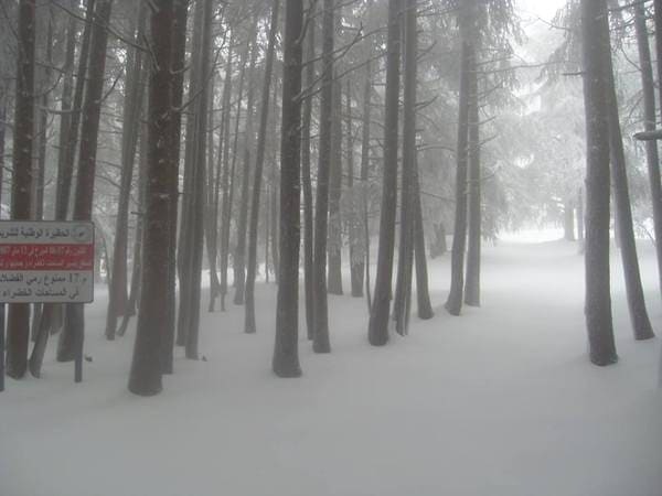 Neve sul nord Africa, punte di 25°C al Sud Italia: meteo pazzo? No, e vi spieghiamo perché