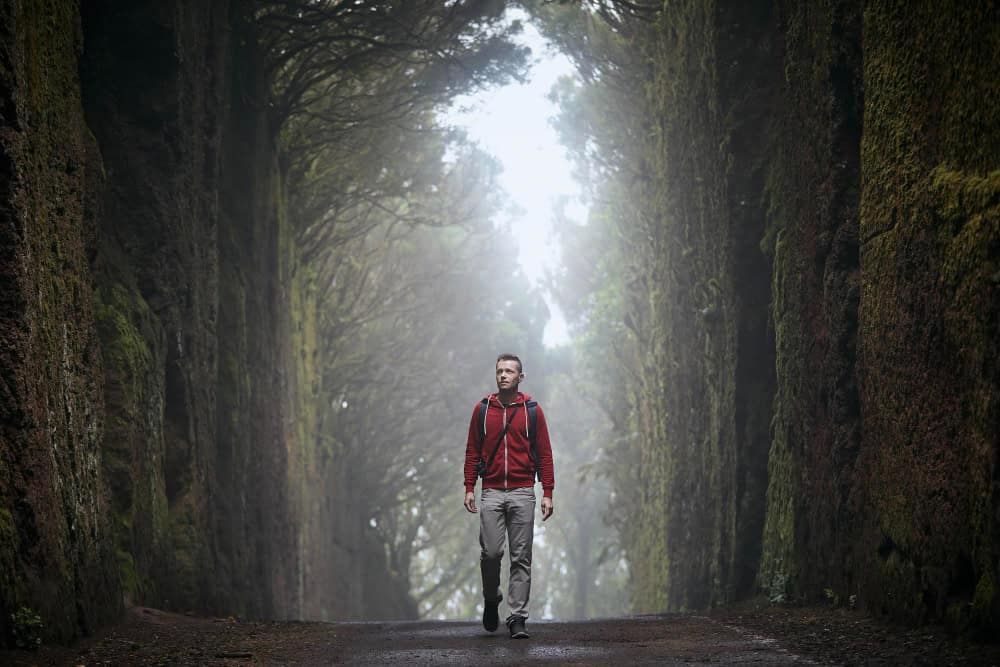 Viaggio a Tenerife, spendi poco e trovi l’Estate anche d’Inverno 4 l uomo sta camminando lungo la strada tra le rocce nel mezzo della misteriosa foresta nebbiosa di tenerife isole canarie spagna