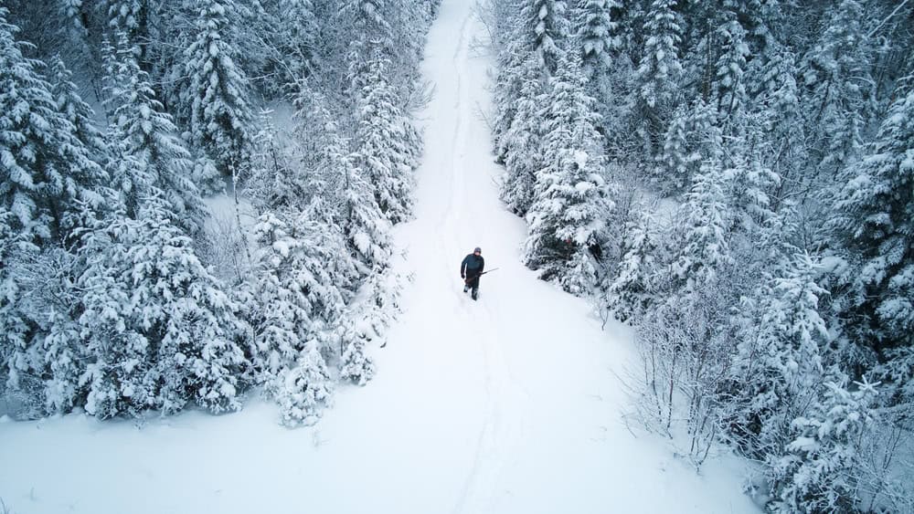 Viaggio in Canada, nella storica città in lingua francese di Quebec 5 shutterstock 2124555236