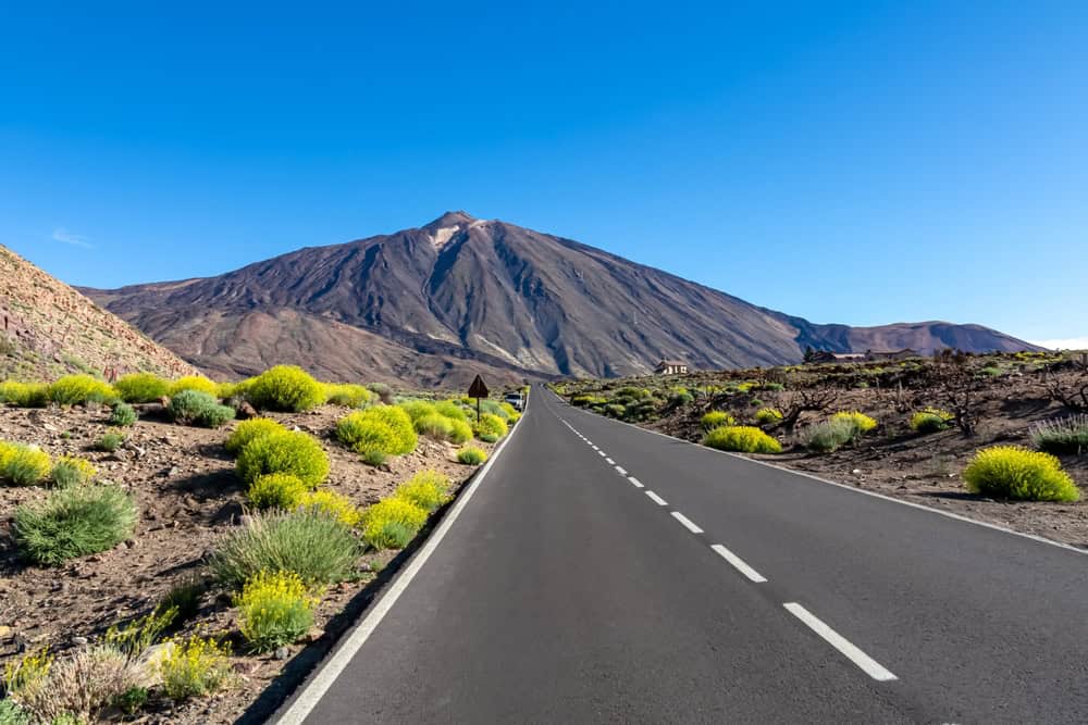 Viaggio a Tenerife quasi gratis. Scopriamo un turismo nuovo 3 shutterstock 2179957439
