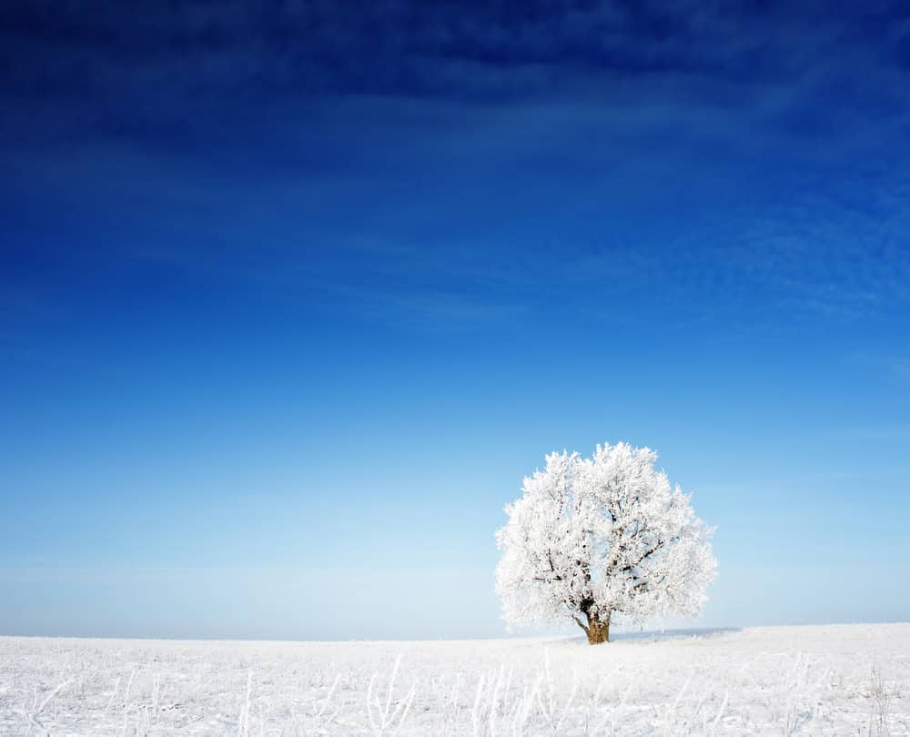 Perché il cielo invernale è più blu di quelo estivo?