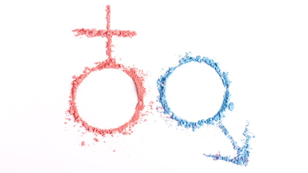 Come i cromosomi sessuali influenzano l’espressione genica oltre la determinazione del sesso