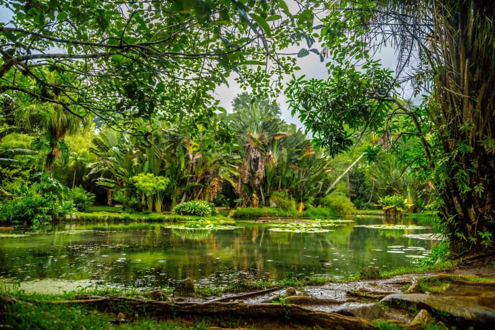 Biodiversità in natura: nuove scoperte sradicano i preconcetti