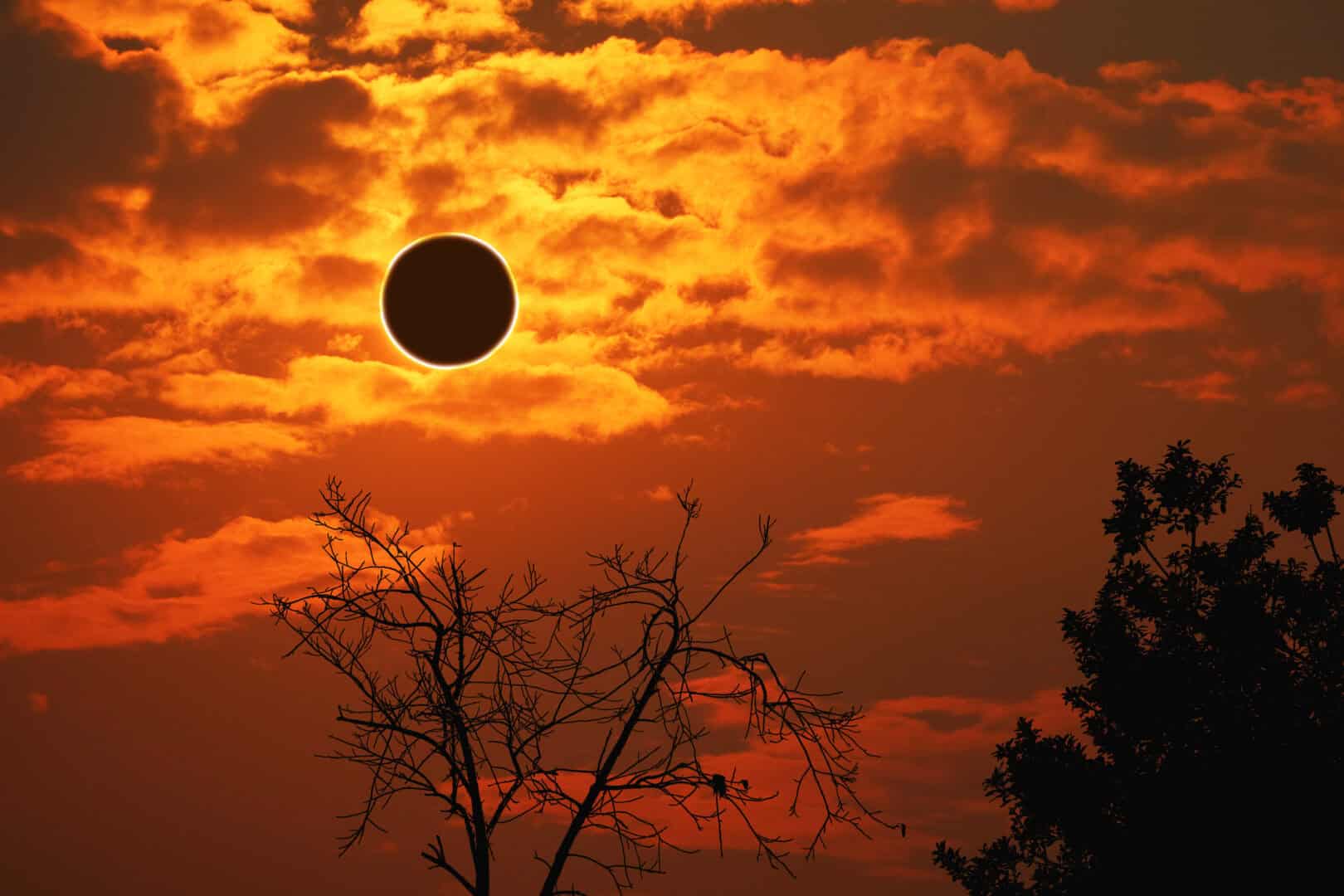 Imminente Eclisse Totale di Sole, come e dove vederlo 3 dreamstime m 165886526