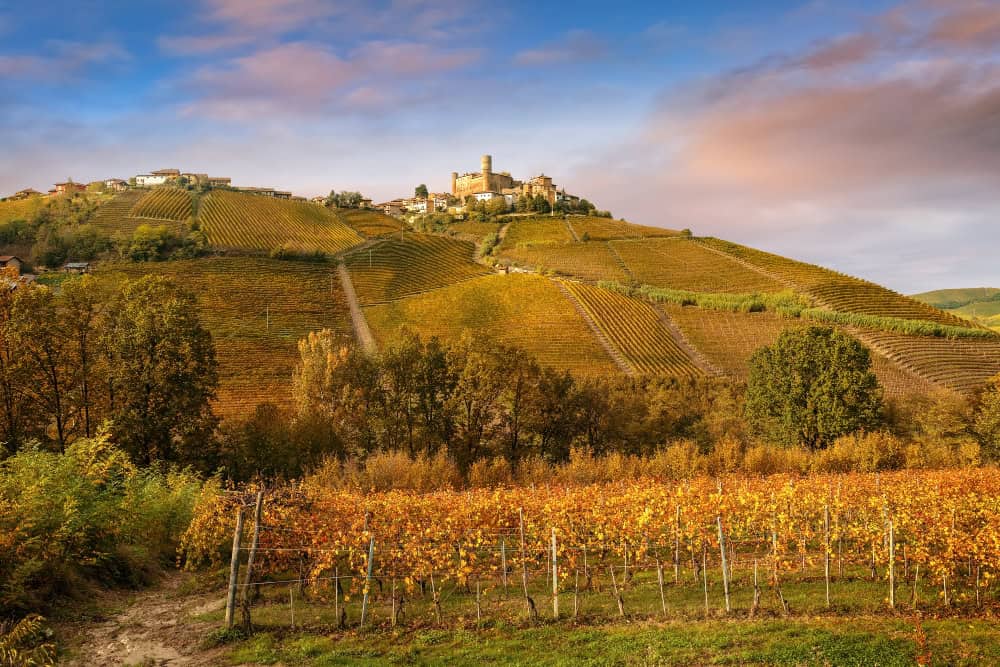 La bellezza delle Langhe: i vini e non solo 36 La bellezza delle Langhe: i vini e non solo