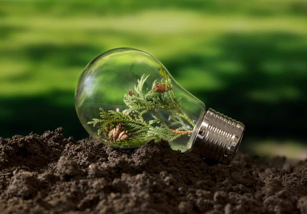 Una batteria inesauribile che trae energia dal terreno: la straordinaria invenzione di un team di scienziati 2 obiettivi di sviluppo sostenibile ancora in vita