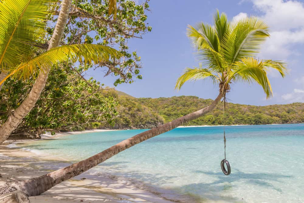 Sulla spiaggia di Oppenheimer: St. John, un'isola speciale 23 Sulla spiaggia di Oppenheimer: St. John, un’isola speciale