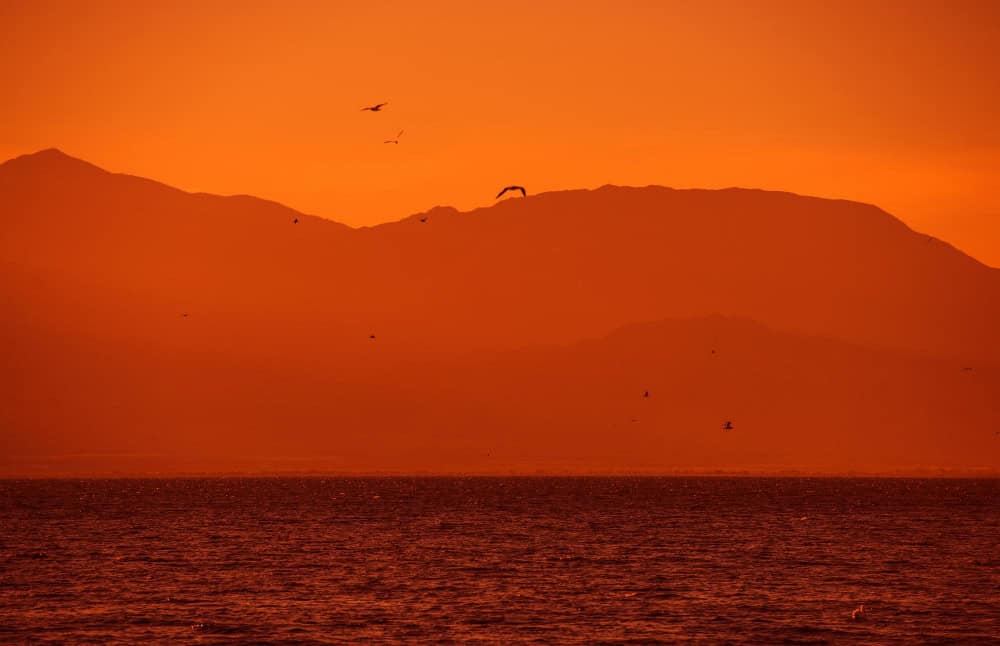 Il Salton Sea: dal paradiso all’inferno, il grande lago della California sta scomparendo