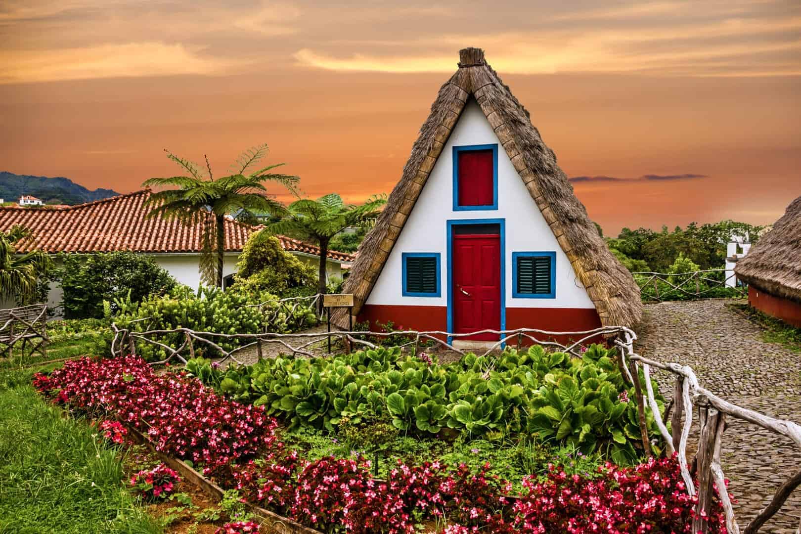 Viaggio e poi nuova vita a Madeira, le Hawaii d’Europa. Magia di colori, verde e mare