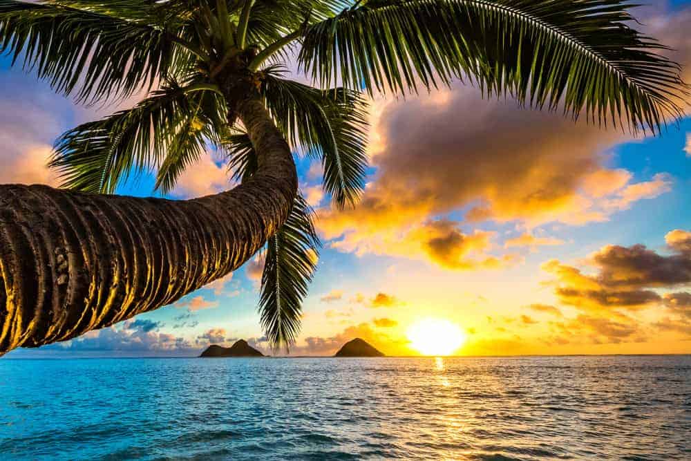 Viaggio nelle Hawaii, isole fantastiche del Pacifico: come risparmiare 18 Viaggio nelle Hawaii, isole fantastiche del Pacifico: come risparmiare