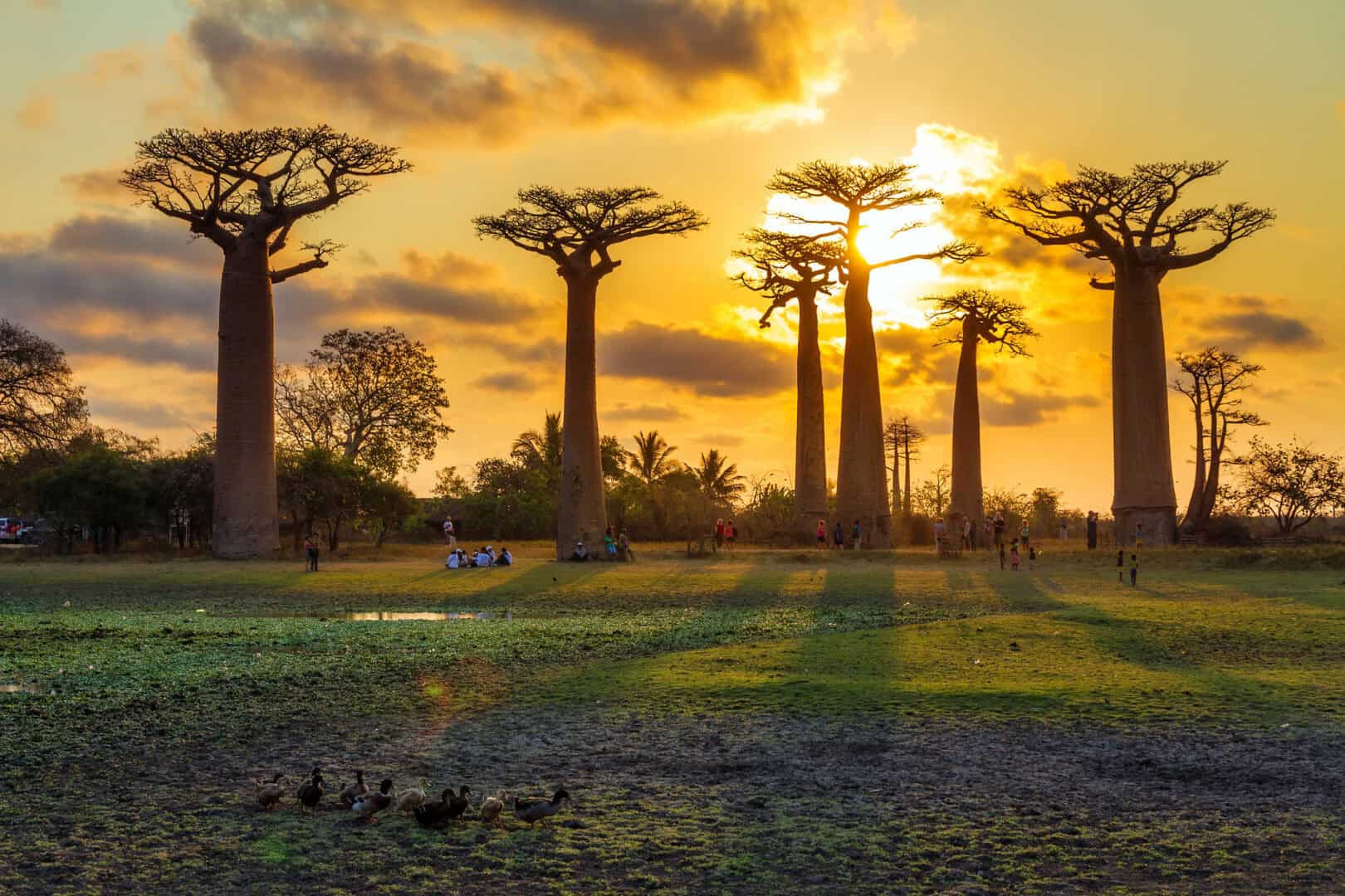 Madagascar: viaggiare alla scoperta di meraviglie senza svuotare il portafoglio 26 Madagascar: viaggiare alla scoperta di meraviglie senza svuotare il portafoglio