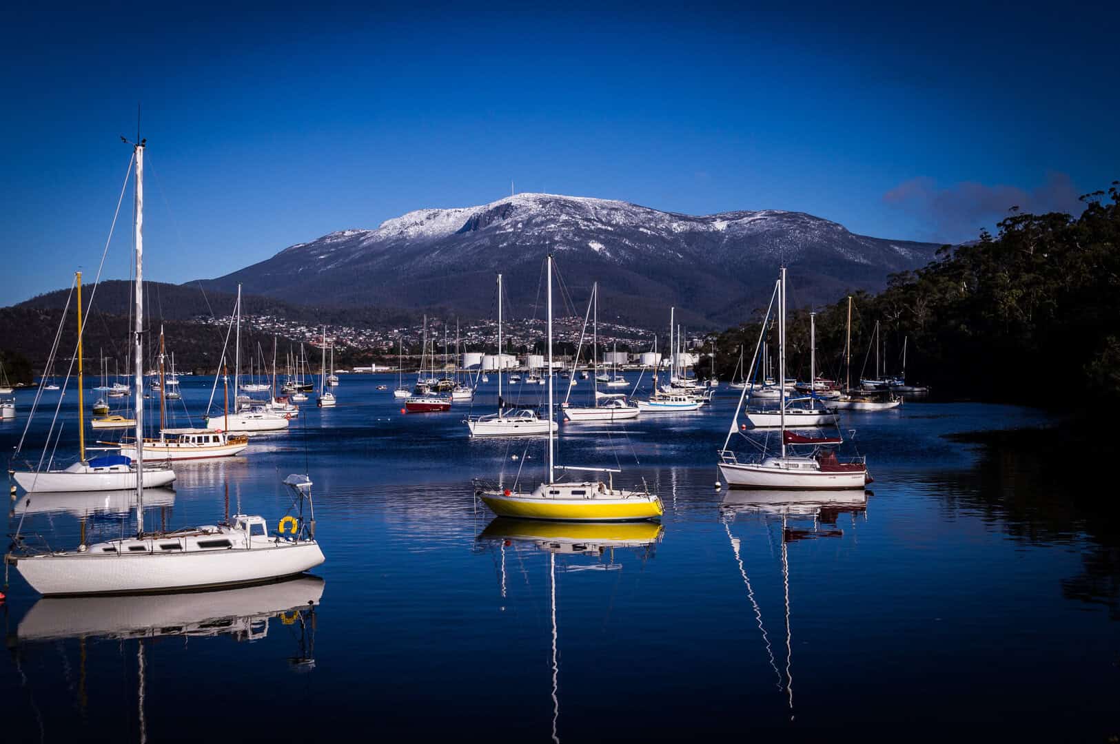Hobart, Australia: una città in mezzo ai paesaggi mozzafiato della Tasmania 14 Hobart, Australia: una città in mezzo ai paesaggi mozzafiato della Tasmania