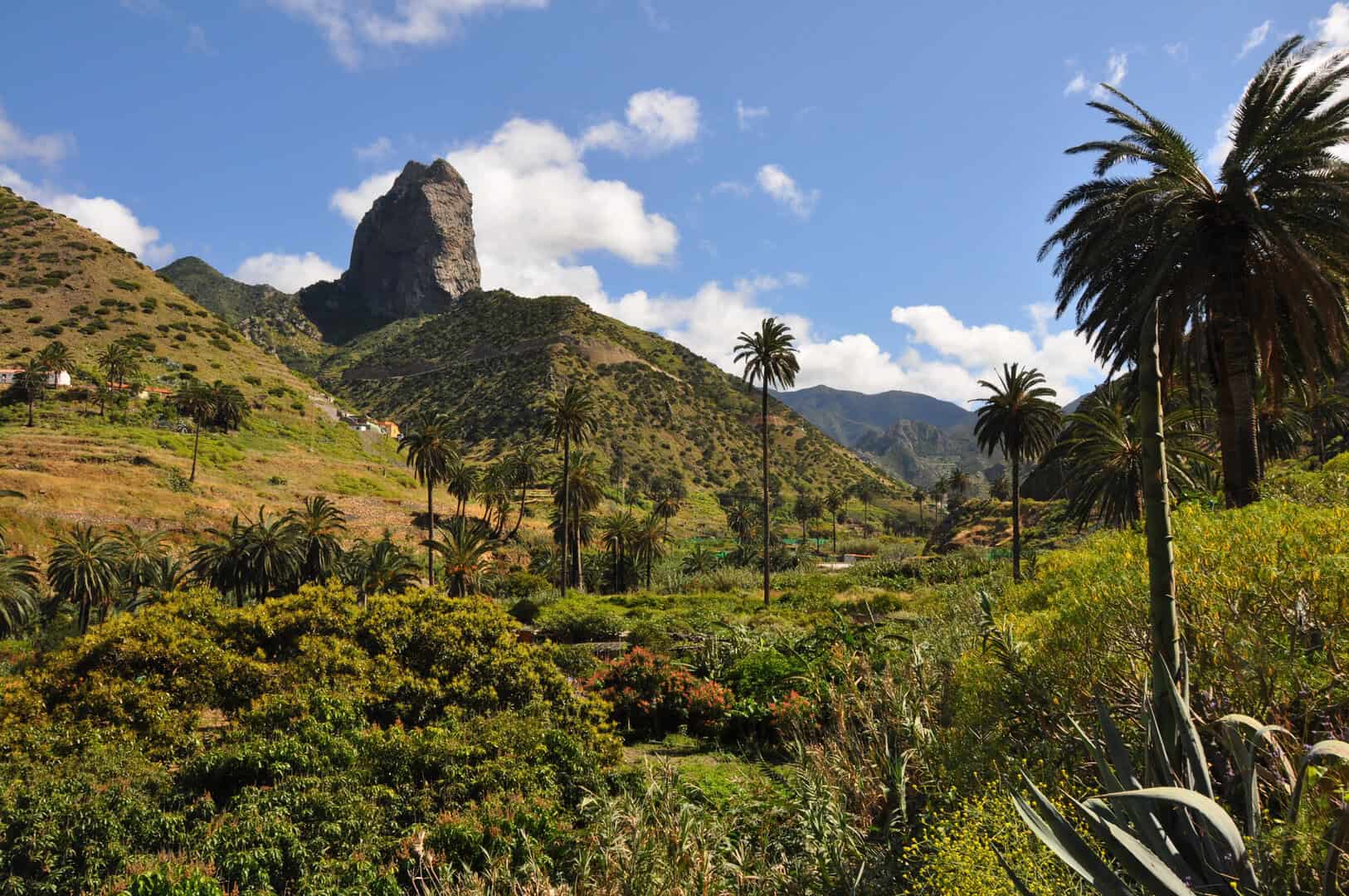 La Gomera, Canarie: una guida completa per escursioni a basso costo 14 La Gomera, Canarie: una guida completa per escursioni a basso costo