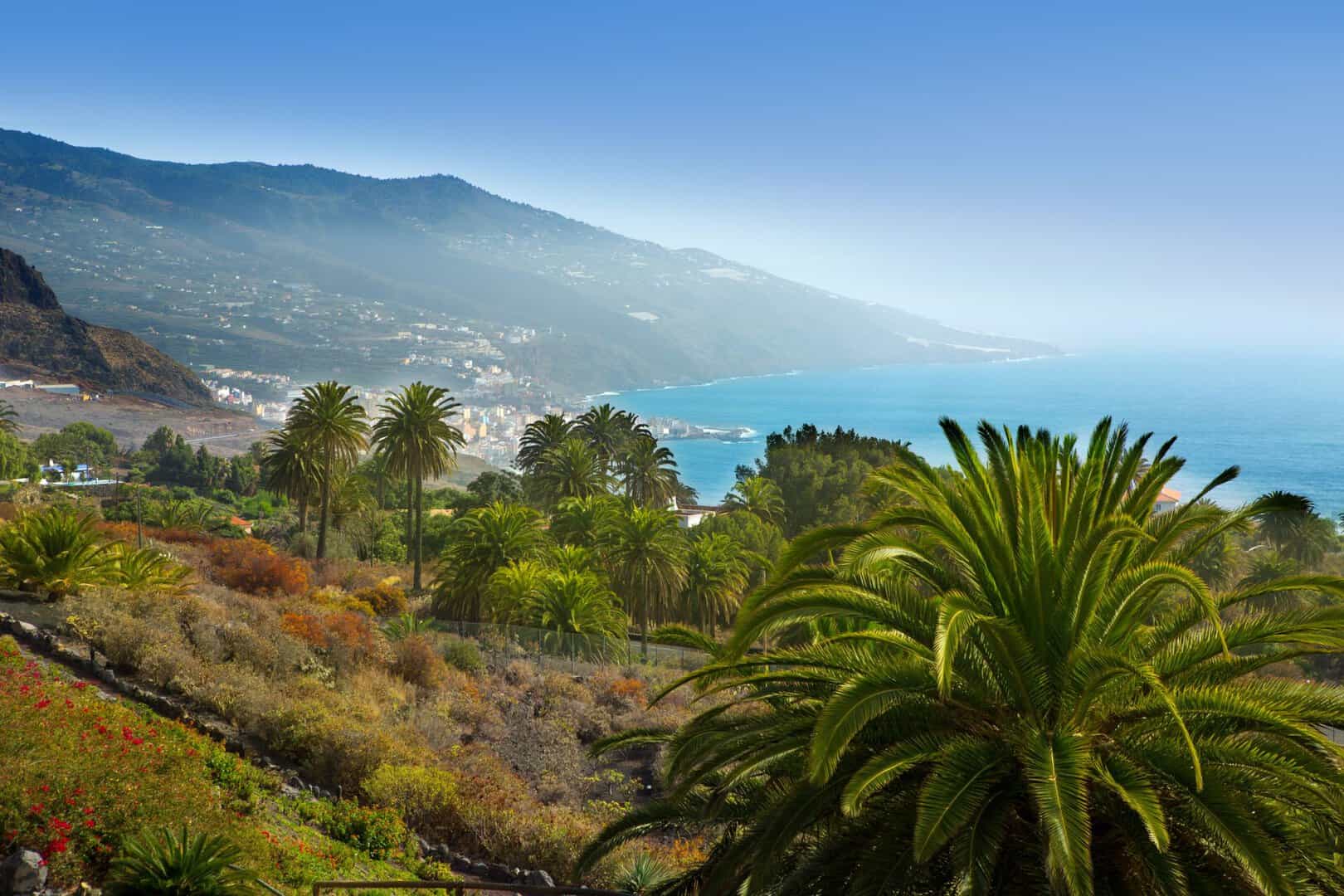 Visitare La Palma? Vi diciamo come fare anche con un budget ridotto 6 Visitare La Palma? Vi diciamo come fare anche con un budget ridotto