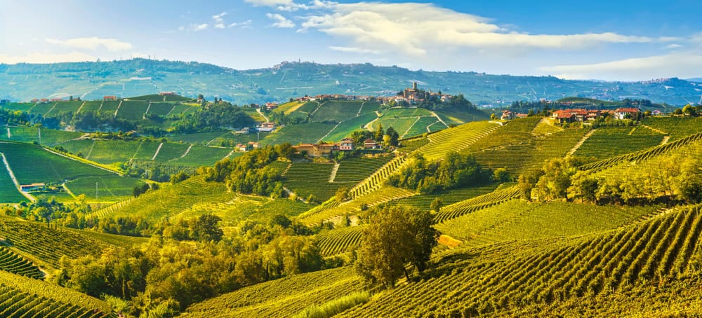 Pasqua in Piemonte: Langhe e Monferrato, le terre gusto, tra formaggi, tartufi e vini pregiati 8 Pasqua in Piemonte: Langhe e Monferrato, le terre gusto, tra formaggi, tartufi e vini pregiati