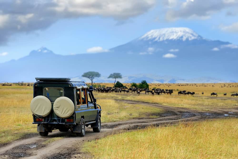 Esplorando Maasai Mara, Kenya: un viaggio tra magia, natura e incontri indimenticabili 10 Esplorando Maasai Mara, Kenya: un viaggio tra magia, natura e incontri indimenticabili