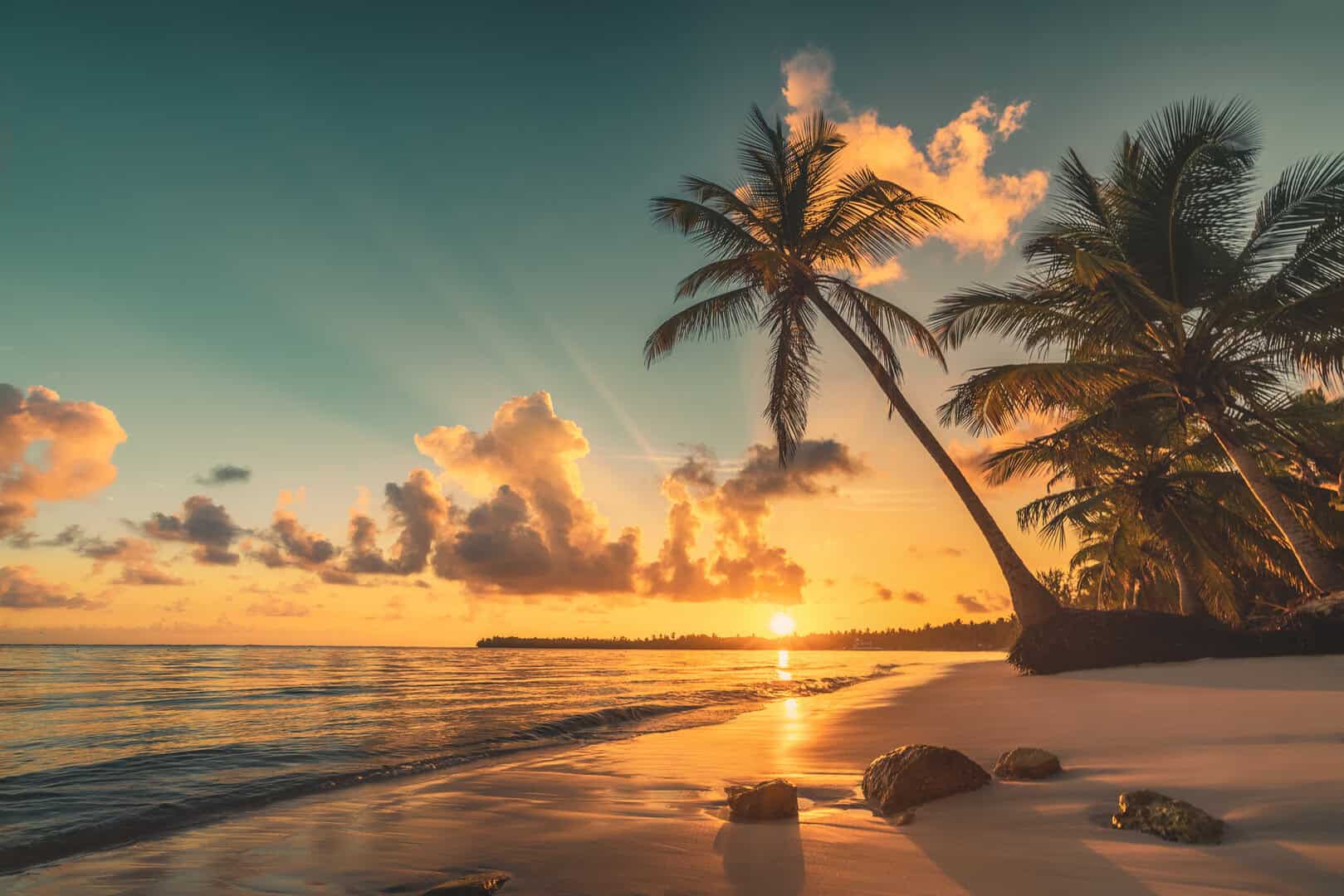 Punta Cana, Repubblica Dominicana: natura, divertimento e cultura 23 Punta Cana, Repubblica Dominicana: natura, divertimento e cultura