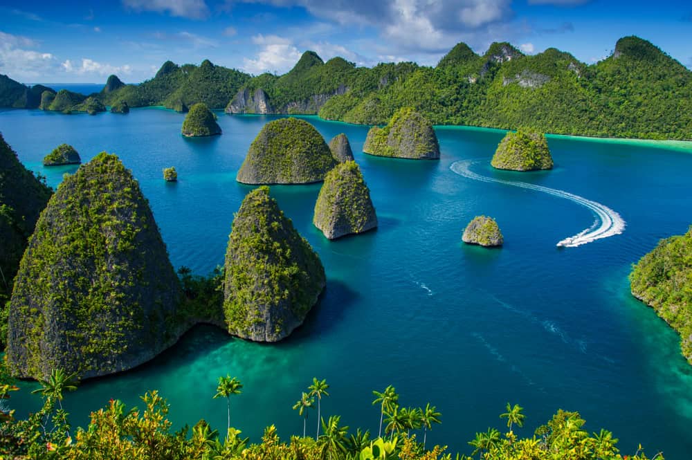 Raja Ampat, Indonesia: il paradiso nascosto dell’arcipelago più biodiverso al mondo 19 Raja Ampat, Indonesia: il paradiso nascosto dell’arcipelago più biodiverso al mondo