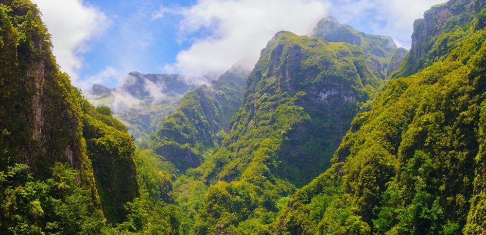 Dall’immensità dell’Oceano alla Foresta Incantata di Madeira, esplorazione sensoriale senza paragoni 5 shutterstock 1007292091