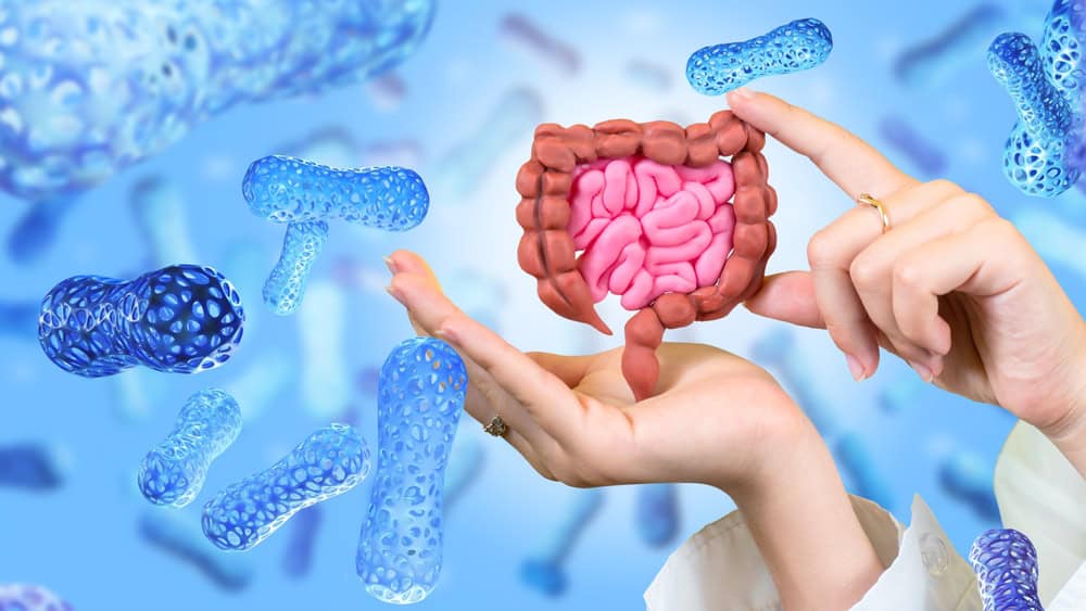 Scoperta naturale un intestino artificiale di verme distrugge la plastica