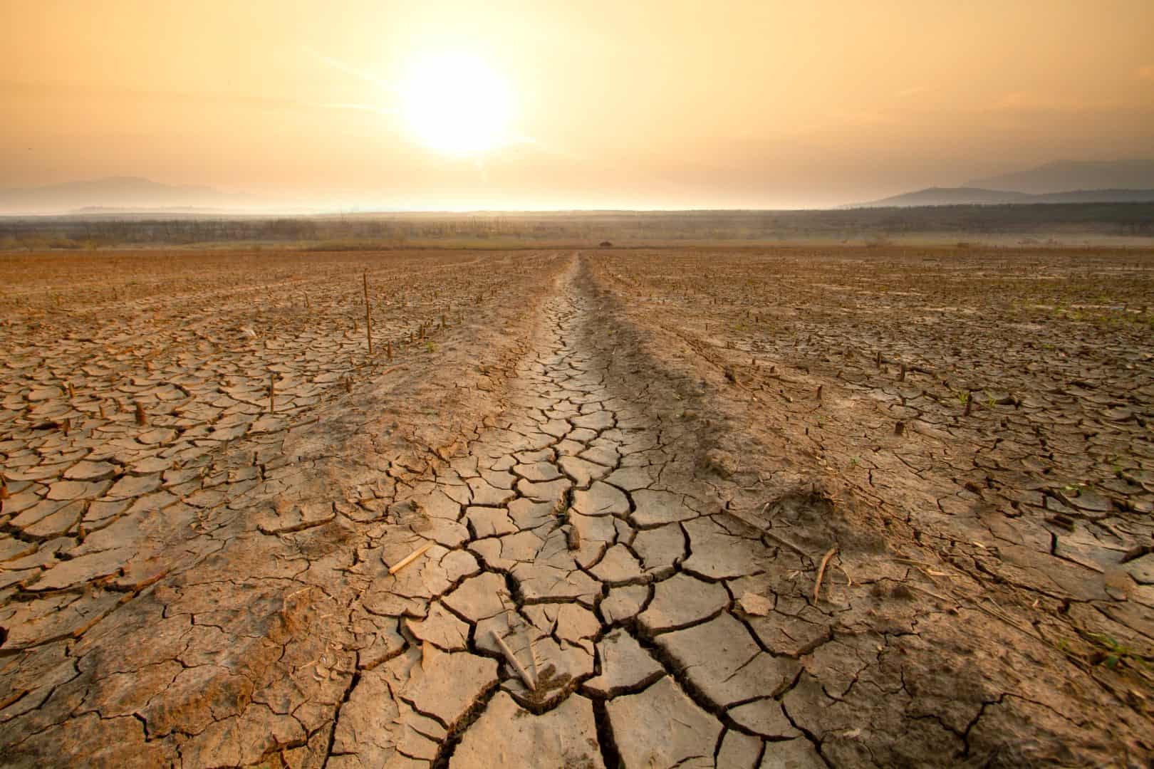 Meteo: Alta Pressione, motivo di preoccupazione per siccità? 2 shutterstock 2281928987