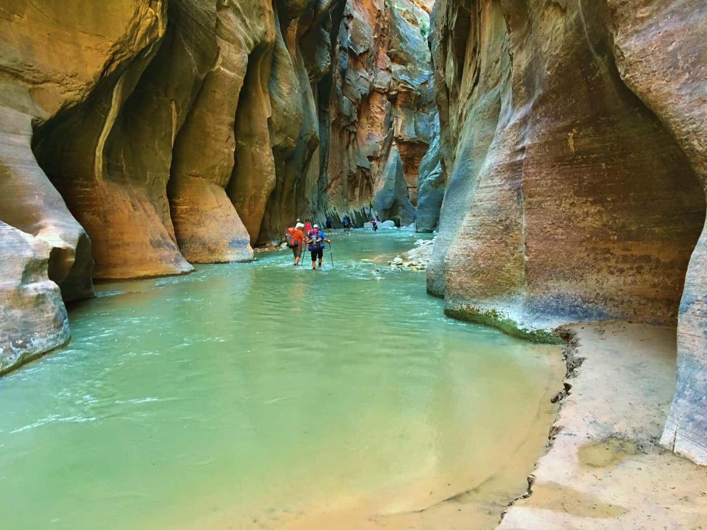 Scoprire l’ineguagliabile bellezza di Zion: un Viaggio nel cuore verde dell’Utah 3 shutterstock 634309883