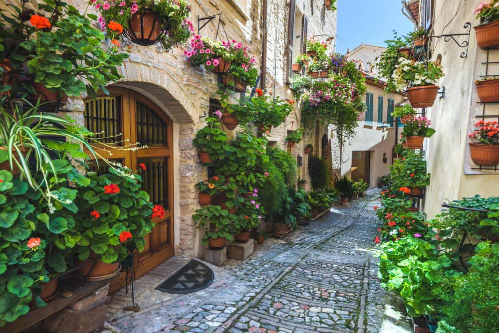 Spello in Fiore: alla scoperta delle tradizioni pasquali nella Città dei Fiori 6 Spello in Fiore: alla scoperta delle tradizioni pasquali nella Città dei Fiori