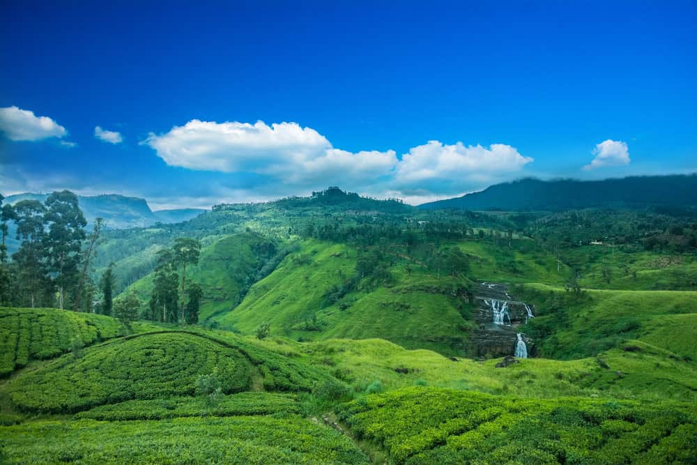 Allo scoperta dello Sri Lanka, la meraviglia dell'Asia 2 wapt image post 1022
