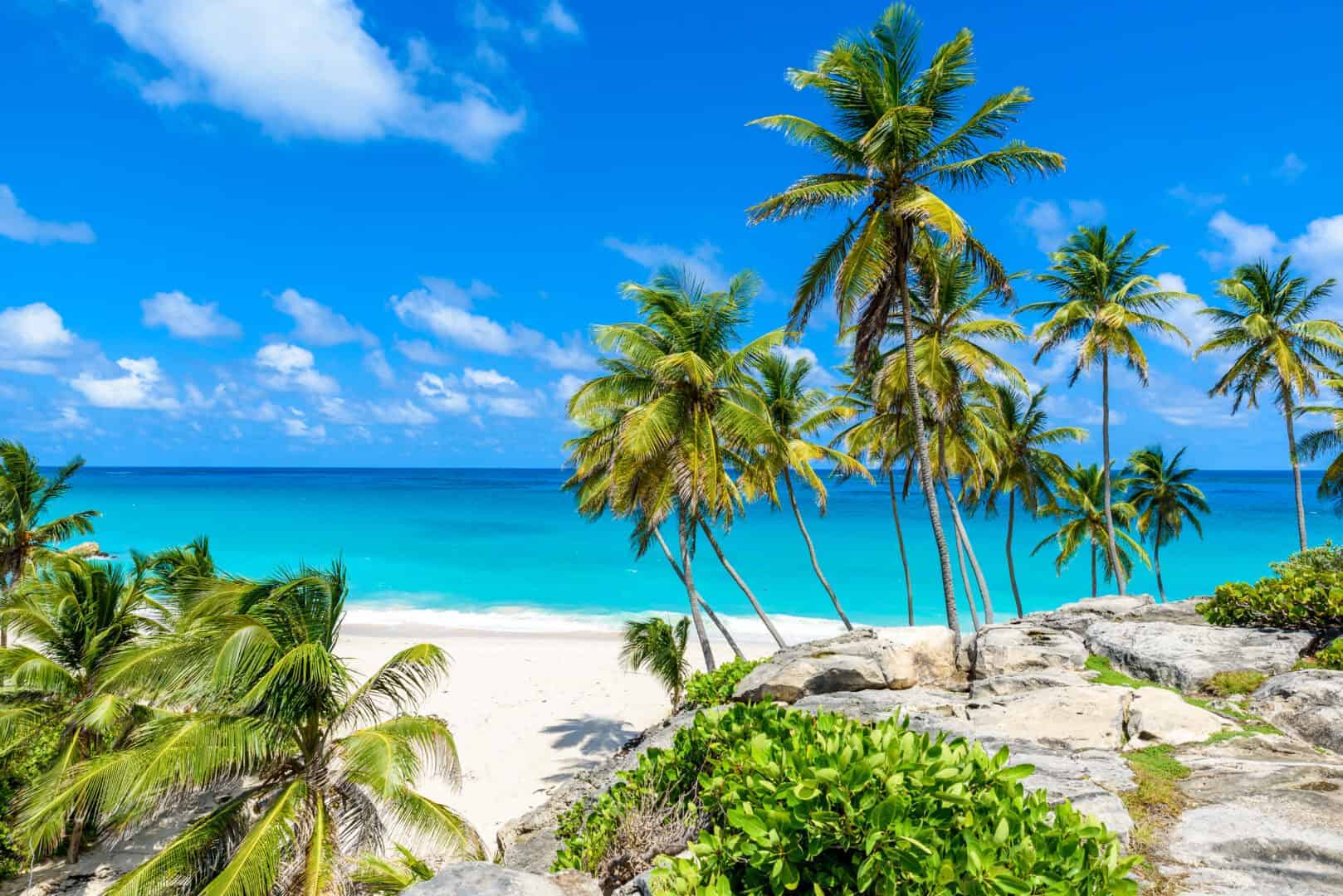 Barbados: un Paradiso oltre il mare e il rum 3 wapt image post 113